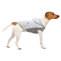 Goo-eez Hundepullover aus Kangaroo-Fleece in Hellgrau Größe L - 1 Stk. – Bild 1 von 6