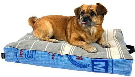 Goopsi Hundekissen aus Baumwolle mit BIO-Dinkelfüllung für kleine bis mittlere Hunde in Blau Größe S – Bild 1 von 4