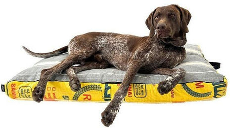 Goopsi Hundekissen aus Baumwolle mit BIO-Dinkelfüllung für kleine bis mittlere Hunde in Gelb – Bild 1 von 3