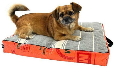 Goopsi Hundekissen aus Baumwolle mit Bio-Dinkelfüllung für kleine und mittelgroße Hunde in Orange Größe S – Bild 1 von 1