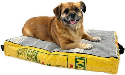 Goopsi Hundekissen aus Baumwolle mit Bio-Dinkelfüllung Größe S – Bild 1 von 1
