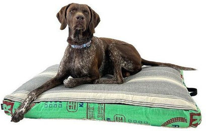 Goopsi Hundekissen mit Bio-Baumwollfüllung Größe M in Grün – Bild 1 von 1