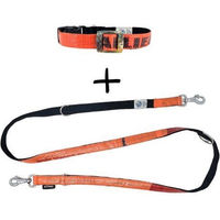 Produktbild von GOOPSI Hundeleine und Halsband Set LANKA aus Polypropylen in Orange Grösse M (32-42cm) wasserabweisend