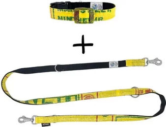Goopsi Hundeleine und Halsband Set Lanka Gelb aus Polypropylen Größe M wasserabweisend – Bild 1 von 3