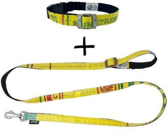Goopsi Hundeleinen Set ARUGAM mit Halsband aus Polypropylen Gelb Größe M – Bild 1 von 3