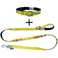 Produktbild von Goopsi Hundeleinen Set ARUGAM mit Halsband aus Polypropylen Gelb Größe M