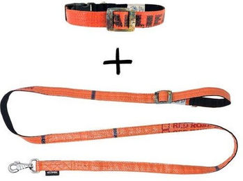 Goopsi Hundeleinen Set ARUGAM mit Halsband aus Polypropylen in Orange Grösse S/M wasserabweisend – Bild 1 von 4