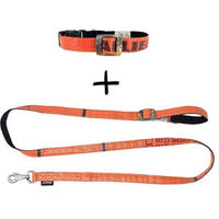 Produktbild von Goopsi Hundeleinen Set ARUGAM mit Halsband aus Polypropylen in Orange Grösse S/M wasserabweisend