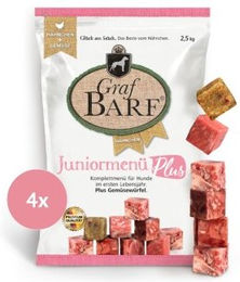 Graf Barf Juniormenü Plus Hähnchen Rohfutterwürfel für Hunde 4x2,5kg mit hohem Fleischanteil – Bild 1 von 2