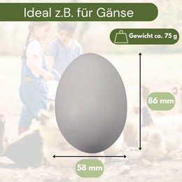 GranataPet 6er Set Kunsteier aus Gips für Hühner Enten und Gänse in Weiß – Bild 1 von 6