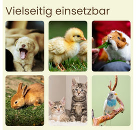 GranataPet Futternapf aus Edelstahl für Hund Katze Vogel Kaninchen und Nager in Silber - 0,15 l – Bild 1 von 2