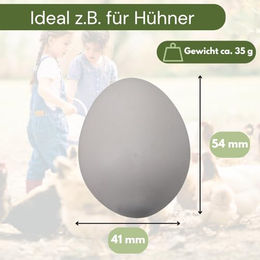 GranataPet Kunsteier für Hühner aus Gips in Weiß 6er Pack – Bild 1 von 6