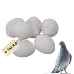 GranataPet Kunsteier Gipseier für Hühner und Tauben 6 Stück Weiß 40x30 mm - 6 x 15 g – Bild 1 von 4