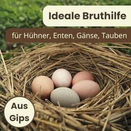 GranataPet Künstliche Bruteier aus Gips für Huhn Taube und Ente in Beige – Bild 1 von 5