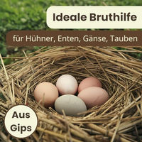Produktbild von GranataPet Künstliche Bruteier aus Gips für Huhn Taube und Ente in Beige