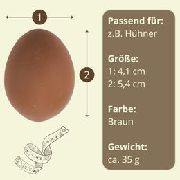 GranataPet Künstliche Bruteier aus Gips für Hühner Enten und Tauben in Braun – Bild 1 von 5