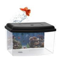 Produktbild von GranataPet Mini Aquarium Terrarium Zuchtbecken für Fische Triops und Garnelen aus Kunststoff mit Deckel und Rückwandfolie - 1 Stk.