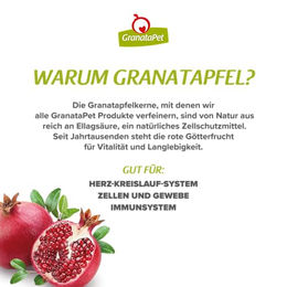 GranataPet Natural Taste Pferd Monoprotein Trockenfutter für Hunde Adult 12 kg - 12 kg – Bild 1 von 3