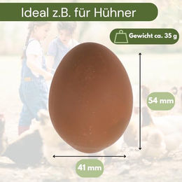 GranataPet Nesteier Kunsteier aus Gips für Hühner und Enten Braun 6 Stück – Bild 1 von 5