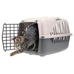 GranataPet Tiertransportbox für kleine Rassen Adult Grau – Bild 1 von 13