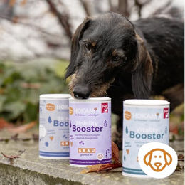 GRAU Hokamix Mobility Booster Gelenk-Supplement Pulver für Hunde 1,5 kg - 1500 g – Bild 1 von 3
