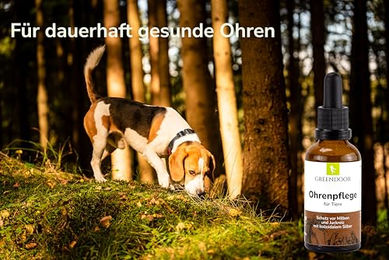 GREENDOOR Ohrenpflege für Hunde mit kolloidalem Silber, Urea, Salbei und Borretschöl, 50 ml Glasflasche mit Pipette - 100 ml – Bild 1 von 3