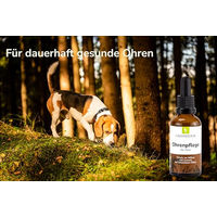 Produktbild von GREENDOOR Ohrenpflege für Hunde mit kolloidalem Silber, Urea, Salbei und Borretschöl, 50 ml Glasflasche mit Pipette - 100 ml