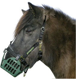 Greenguard Halfter Standard Shetty aus Kunststoff in Schwarz – Bild 1 von 2