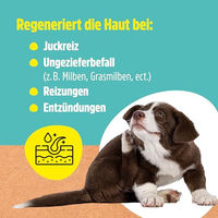 Produktbild von GreenHero Haustierpflege Spray gegen Juckreiz bei Milben für Hunde und Katzen 500 ml - 500 ml