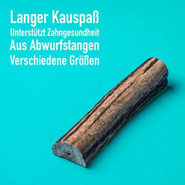GreenHero Hirschgeweih Kausnack für Hunde Größe M 11 cm Monoprotein und natürlich – Bild 1 von 9