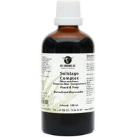 Produktbild von Groene Os Solidago Complex für Pferd und Pony 100 ml