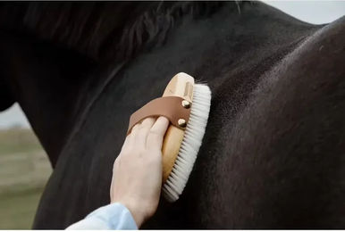 Grooming Deluxe Natural Glanzbürste für Pferde weiche Putzbürste aus Holz – Bild 1 von 6