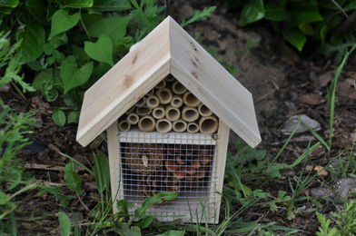 Grüner Jan Insektenhotel und Vogelhaus aus Holz mit Insektenschutz – Bild 1 von 2