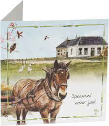 Produktbild von Grußkarte für Pferde von HORKA