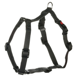 H-Geschirr Ziggi Dunkelgrau S 35-50 cm 15 mm – Bild 1 von 2