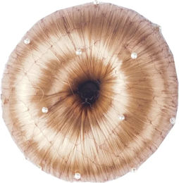 Produktbild von Haarnetz Damen Horka Pearl