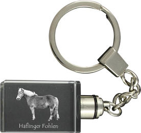Produktbild von Haflinger Fohlen - Crystal pendant with photo of a horse, illuminated pendant, unique gift by Art-Dog brand transparent