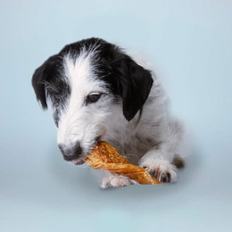 Produktbild von Hähnchenbrustfilet 5x 200g