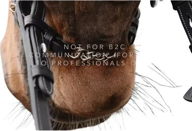 Produktbild von Halbbarbe mit Ketten Dy'on