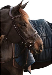 Produktbild von Halbbarbe mit Ketten Dy'on