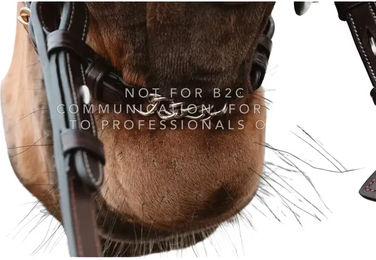 Produktbild von Halbbarbe mit Ketten Dy'on