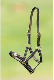 Produktbild von Halfter aus feinem Leder für Pferde HFI