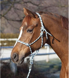 Produktbild von Halfter aus geknüpftem Seil für Pferde USG