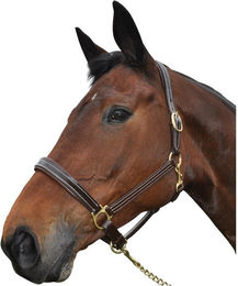 Produktbild von Halfter aus Leder Chetak Bright