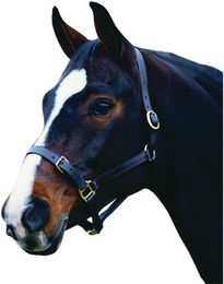 Halfter aus Leder Collegiate Comfitec – Bild 1 von 3