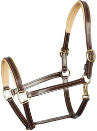 Produktbild von Halfter aus Leder Harry's Horse Elegance