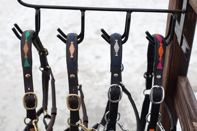 Produktbild von Halfter aus Leder HFI Polo