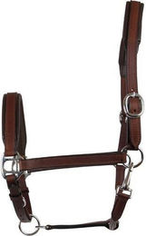 Halfter aus Leder HorseGuard – Bild 1 von 3