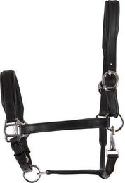 Halfter aus Leder HorseGuard – Bild 1 von 4
