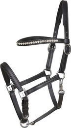 Produktbild von Halfter aus Leder HorseGuard